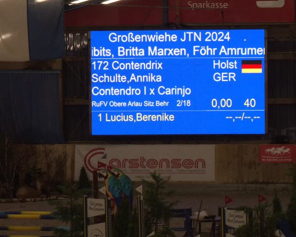 Reitturnier Großenwiehe 2024
