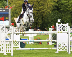 broodmare Ivana Hbf (KWPN (Royal Dutch Sporthorse), 2013, from Indoctro)