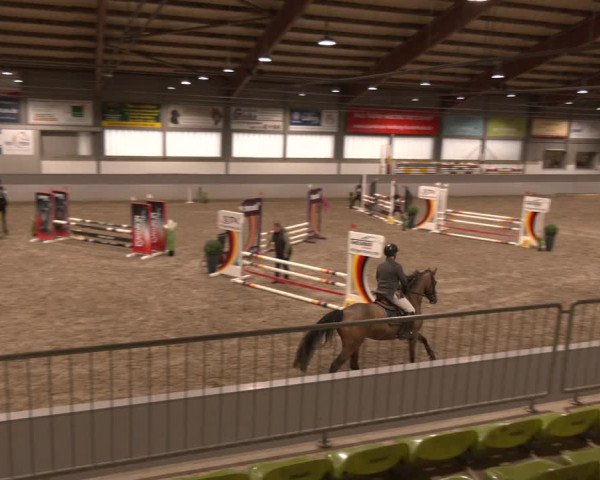 Reitturnier AZL Luhmühlen 2024