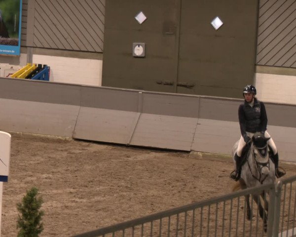 Reitturnier AZL Luhmühlen 2024