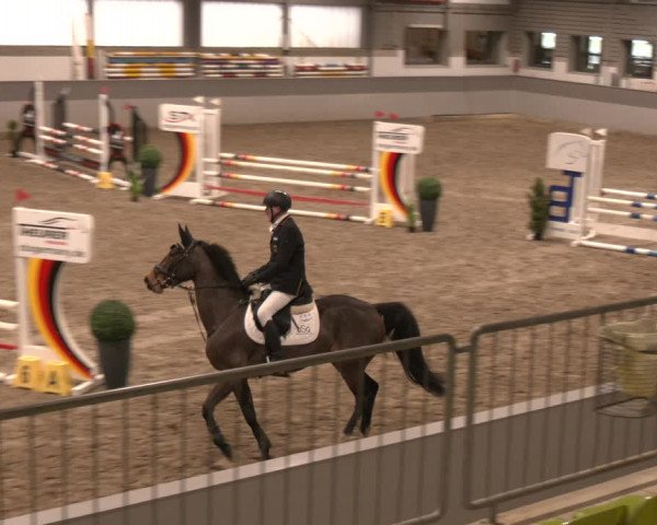 Reitturnier AZL Luhmühlen 2024