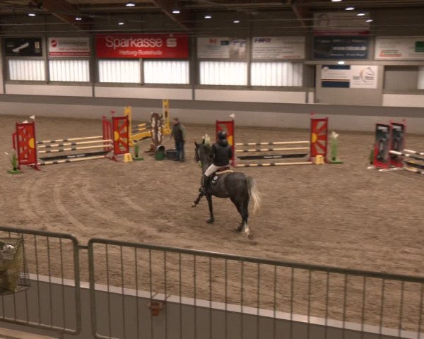 Reitturnier AZL Luhmühlen 2024