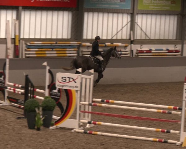 Reitturnier AZL Luhmühlen 2024