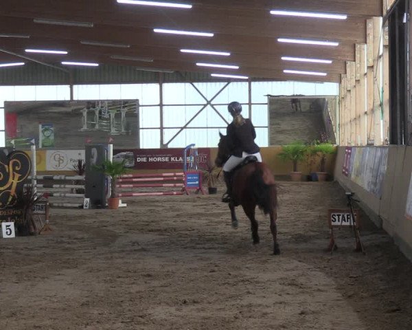 Reitturnier Pausin 2021