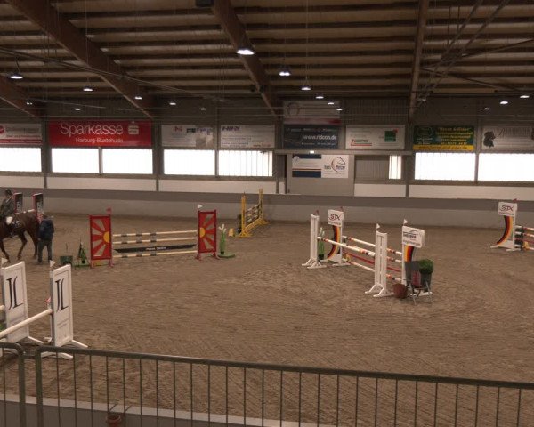 Reitturnier AZL Luhmühlen 2024