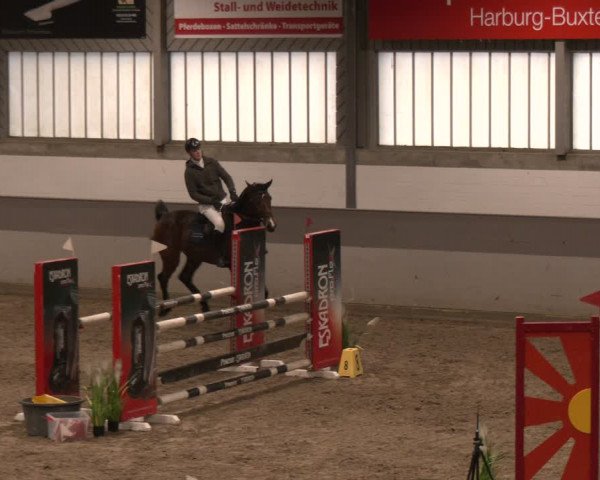 Reitturnier AZL Luhmühlen 2024