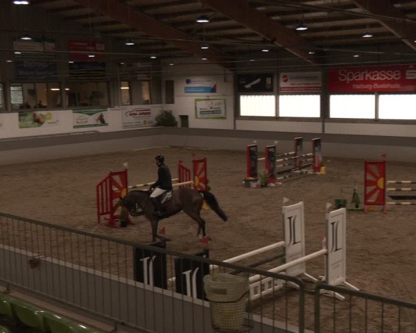 Reitturnier AZL Luhmühlen 2024
