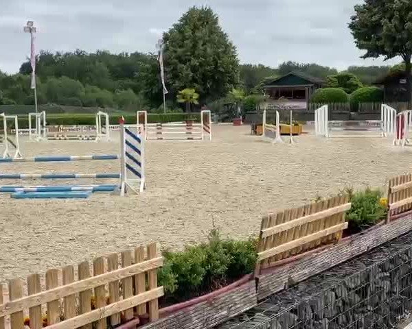 Video of Grandezza de Cologne