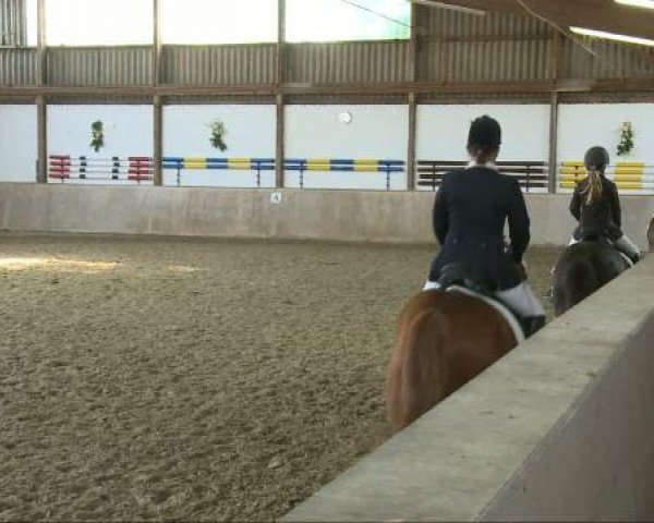 Dorsten 2011