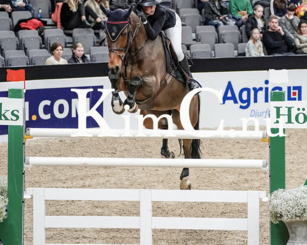 jumper Eracantos (KWPN (Royal Dutch Sporthorse), 2009, from Cantos)