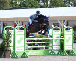 jumper Calma 9 (Holsteiner, 2013, from Calido I)