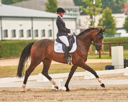 dressage horse Queen of my Hearts (Hanoverian, 2014, from Quantensprung 3)