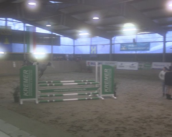 Reitturnier Velen 2024