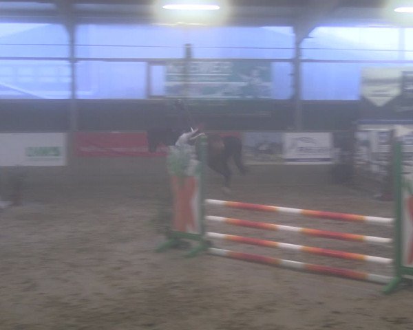 Reitturnier Velen 2024