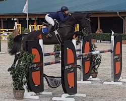 jumper Andorra LW (Rhinelander, 2012, from Alvarino 2)