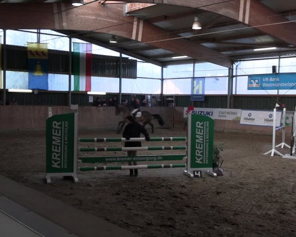 Reitturnier Velen 2024