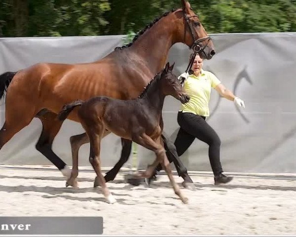 Video von Denver