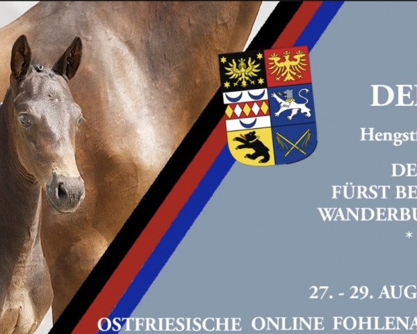 Pferd Denver (Hannoveraner,  , von Despacito 16)
