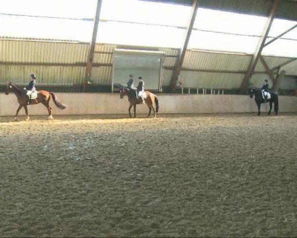 Dorsten 2011