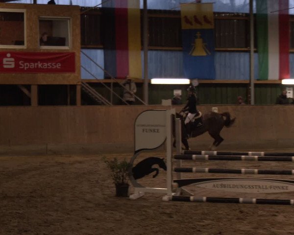 Reitturnier Velen 2024