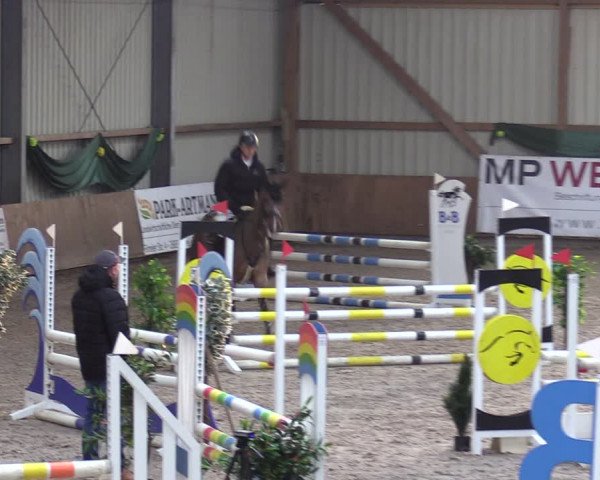 Reitturnier Hesel 2024