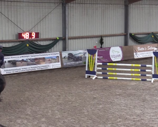 Reitturnier Hesel 2024