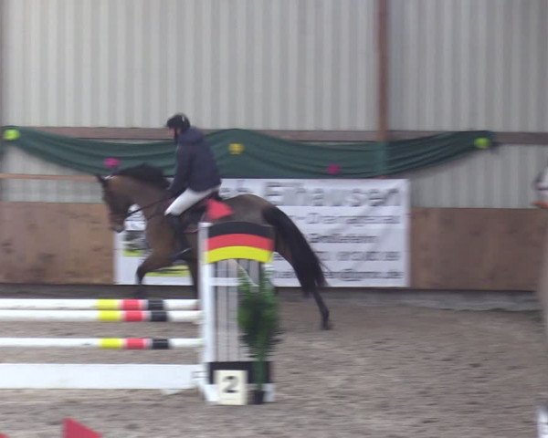 Reitturnier Hesel 2024