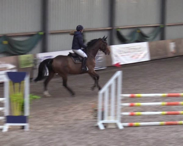 Reitturnier Hesel 2024