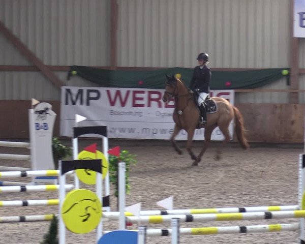 Reitturnier Hesel 2024