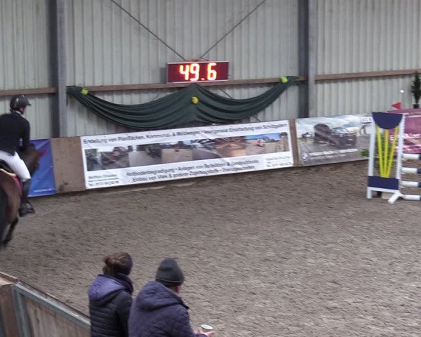 Reitturnier Hesel 2024