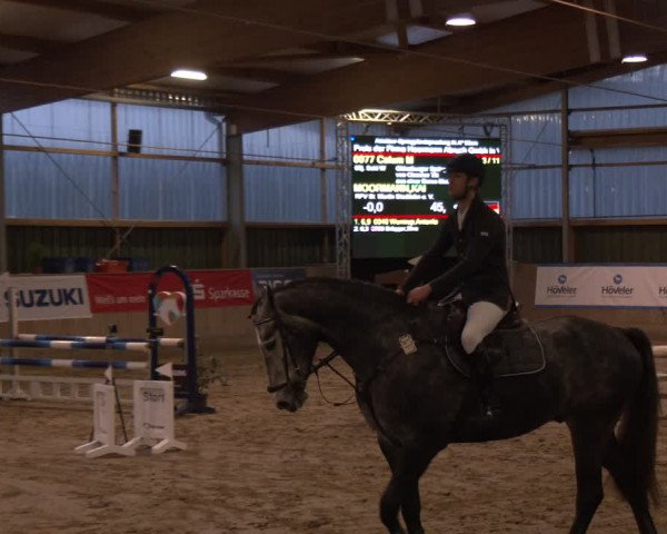 Reitturnier Velen 2024