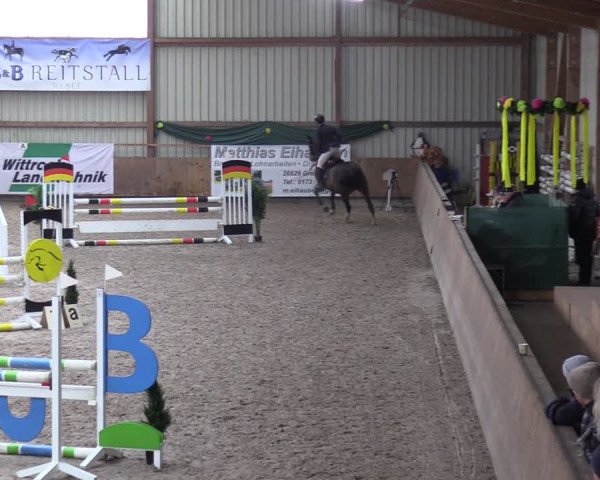 Reitturnier Hesel 2024