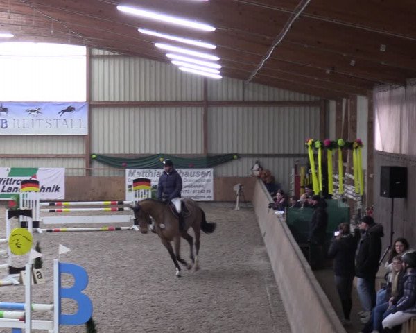 Reitturnier Hesel 2024