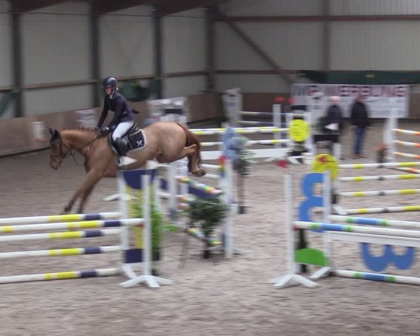Reitturnier Hesel 2024