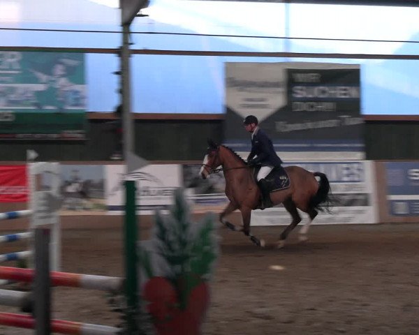 Reitturnier Velen 2024