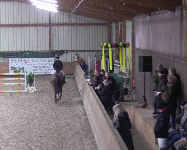 Reitturnier Hesel 2024