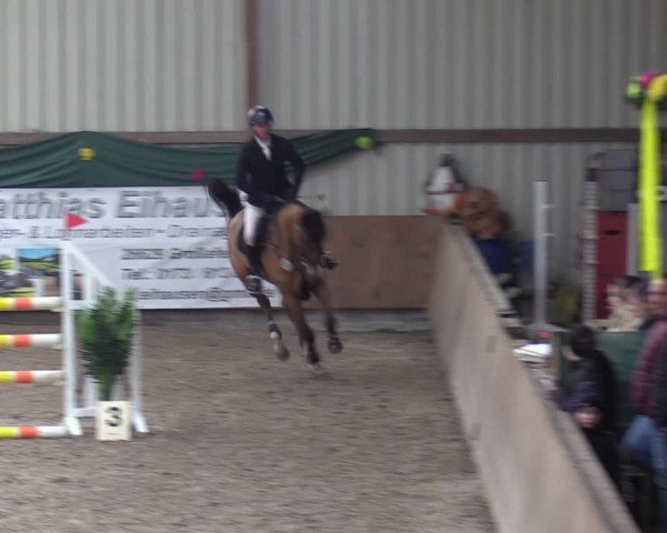 Reitturnier Hesel 2024