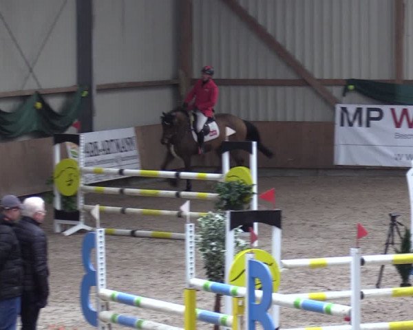 Reitturnier Hesel 2024