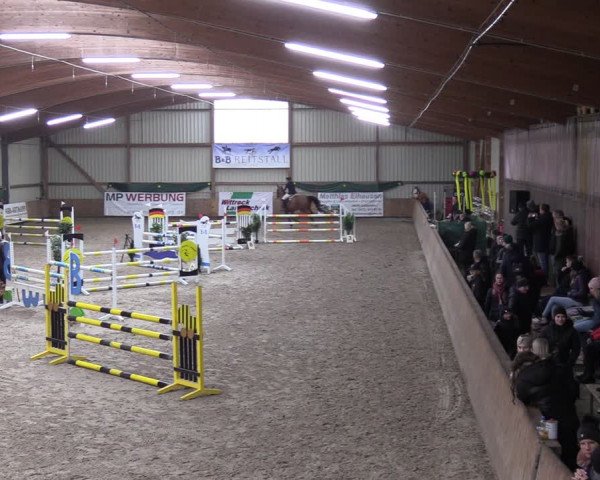 Reitturnier Hesel 2024