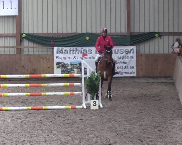 Reitturnier Hesel 2024