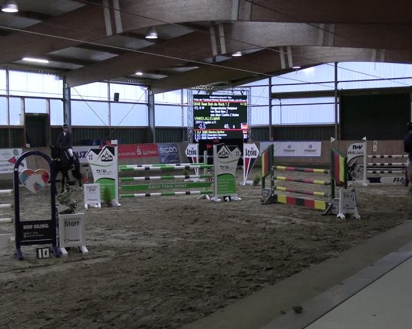 Reitturnier Velen 2024