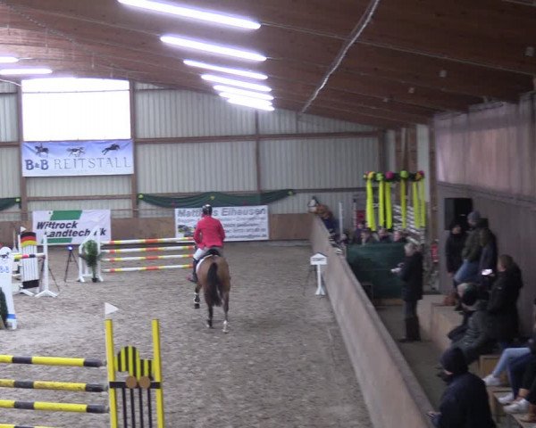 Reitturnier Hesel 2024