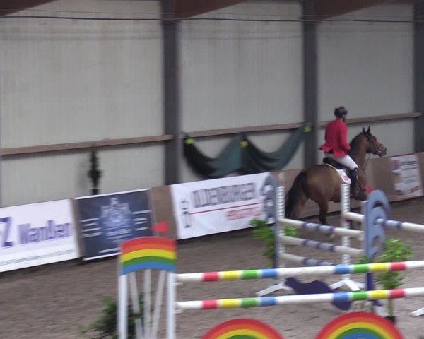 Reitturnier Hesel 2024