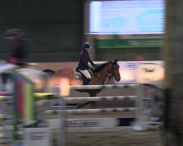 Reitturnier Velen 2024