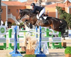 jumper Mr. Castlefield (Czech Warmblood, 2014, from Forever van de Noordheuvel)