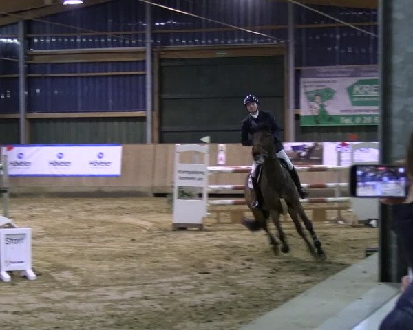Reitturnier Velen 2024