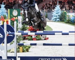 broodmare Hulde G (KWPN (Royal Dutch Sporthorse), 2012, from Vigo d'Arsouilles)