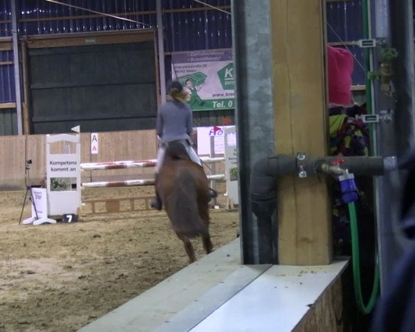 Reitturnier Velen 2024