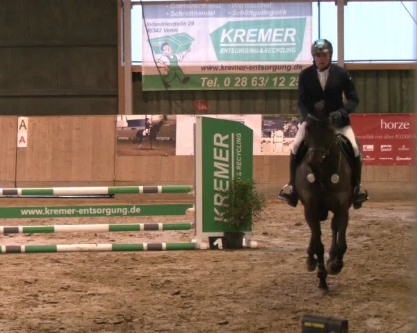 Reitturnier Velen 2024