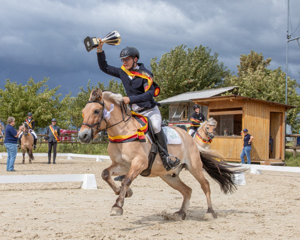 stallion Jenrik (Fjord Horse, 2003, from Jannik Gærum)